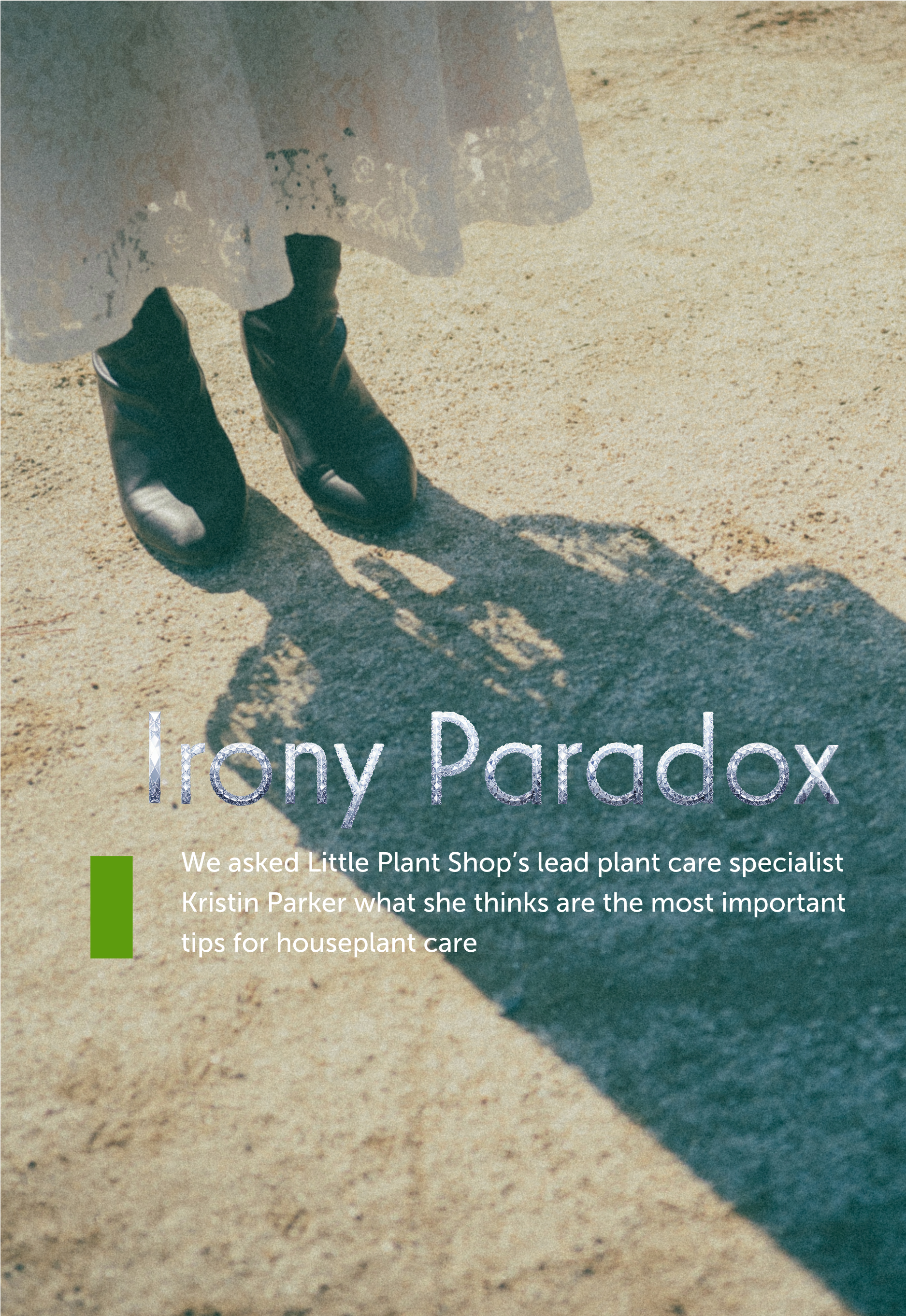 Irony paradox