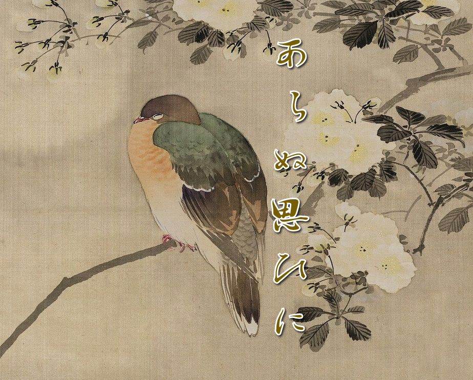 あらぬ思ひに